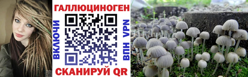 МЕГА ТОР  Стерлитамак  Псилоцибиновые грибы мухоморы 