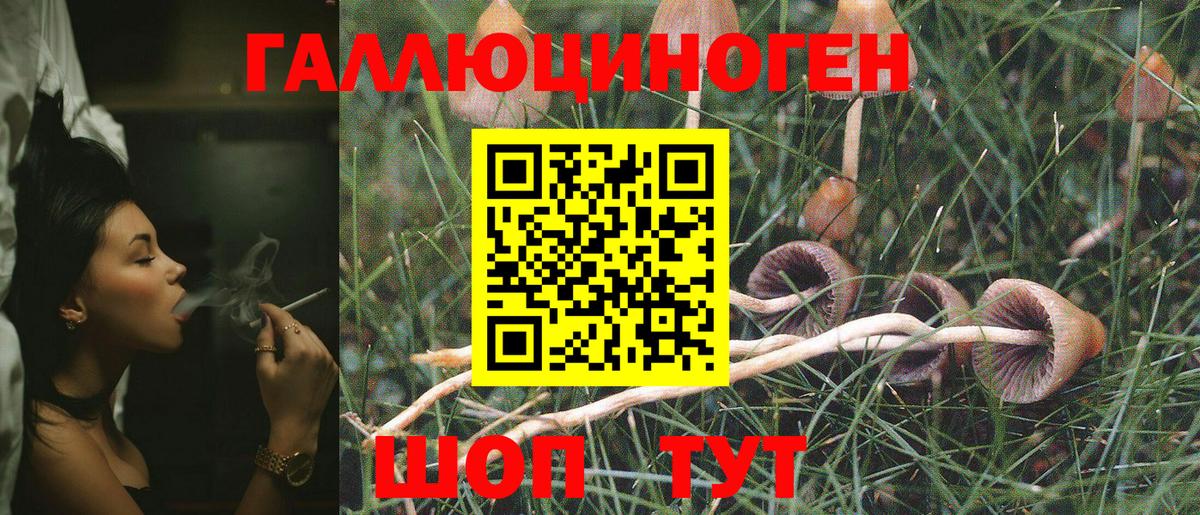 Псилоцибиновые грибы Cubensis Стерлитамак